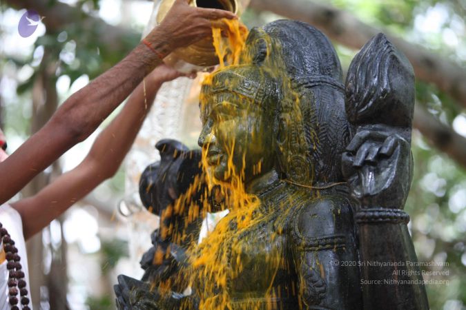 20160818 Photo 1238 1y-pw3LmuWv9nabBS8uW72Jll-tPCorkY.JPG