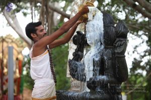 20160818 Photo 1248 1rz5ZLHxgxUPtp8V4CyCjiDw8YkPV-2lD.JPG