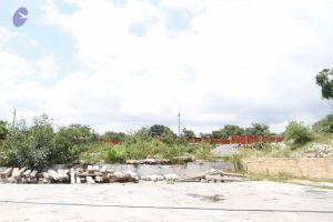 20160818 Photo 1298 1PK9pt-L6AP2w 4Cpt7vEUwrdf1zbMYcW.JPG