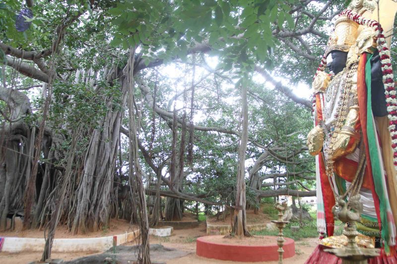 File:20160818 Photo 1303 1gG5fLLVet5cLnLx3m0tPFktPDHXgJdAO.JPG