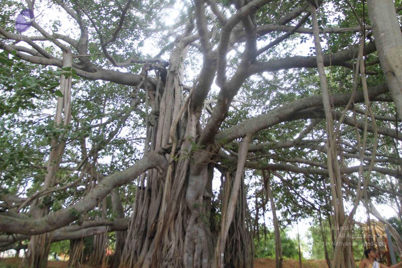 File:20160818 Photo 1308 1d9VKW-rZlyUedbUiyHdLMDN3WRusZRnd.JPG