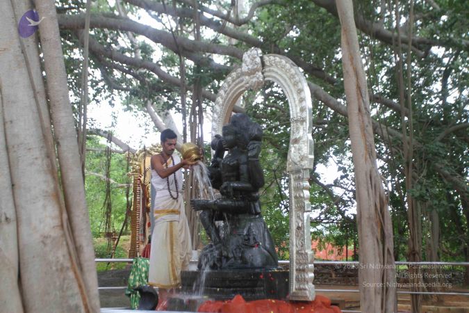 20160818 Photo 1309 1QdX51eKjmHMLKRAe57hu-LZcnWhFZuTw.JPG