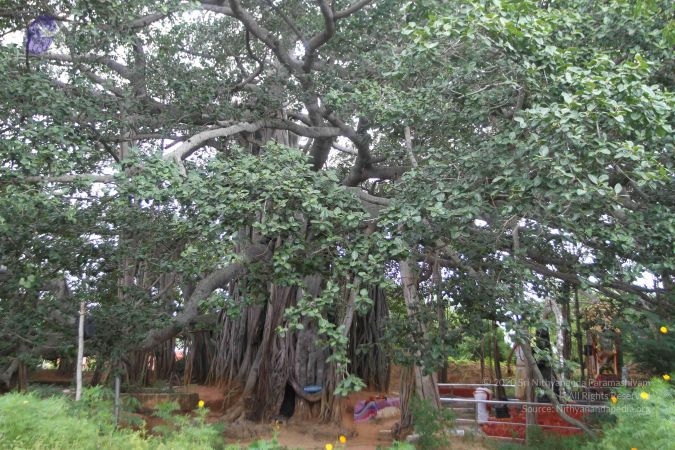 20160818 Photo 1311 1A5gTT3wZtMkrGrE7IeMu346jeB s9y8W.JPG