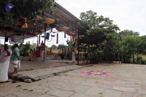 20160827 6317 CMP WM.jpg