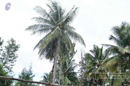 20160827 6346 CMP WM.jpg