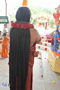 20160827 6538 CMP WM.jpg