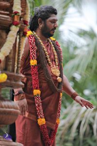 20160827 8084 CMP WM.jpg