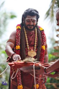 20160827 8090 CMP WM.jpg