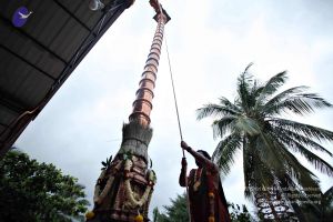 20160827 8105 CMP WM.jpg