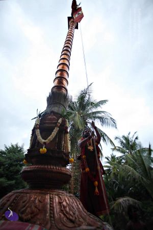 20160827 8108 CMP WM.jpg