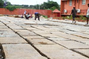 20160903 Photo 1002 1mO2k jNVdulVLJC2j146a3ECt2GAAYTL.JPG