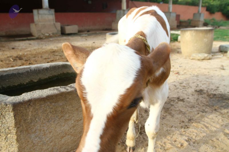 File:20160903 Photo 1053 1auCcHKww3C5yPaRUAgURfqiZgBdIO1ql.JPG