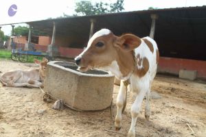 20160903 Photo 1056 1ZRlS0GlAXqKLUG613eaWImzERa9CX1 e.JPG