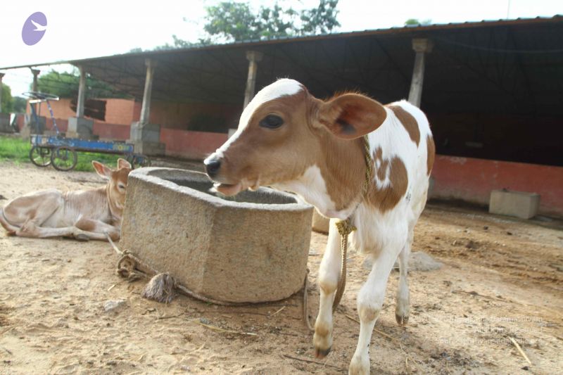 File:20160903 Photo 1056 1ZRlS0GlAXqKLUG613eaWImzERa9CX1 e.JPG