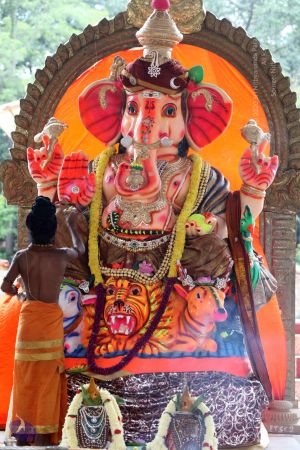 20160905 Photo 1039 1d1MvRWGZLwS3rxIOX xKmzokAtLt69ev.JPG