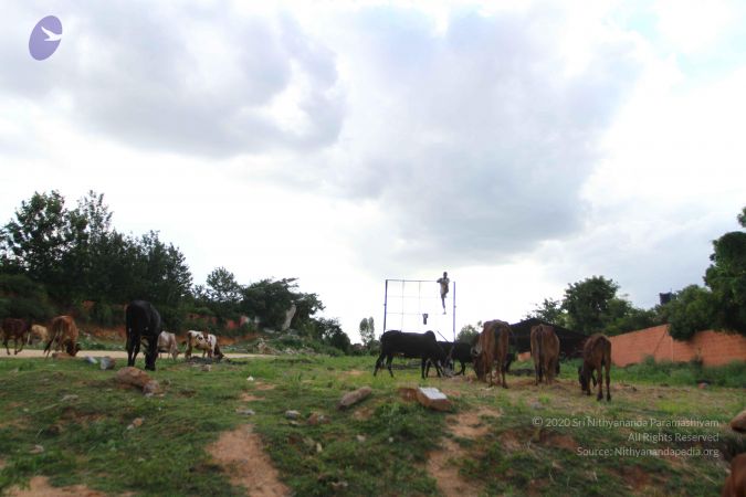 20160907 Photo 1001 1SiCRrKoXtU4CJu9KtZFr1JvtBAqlMr 3.JPG