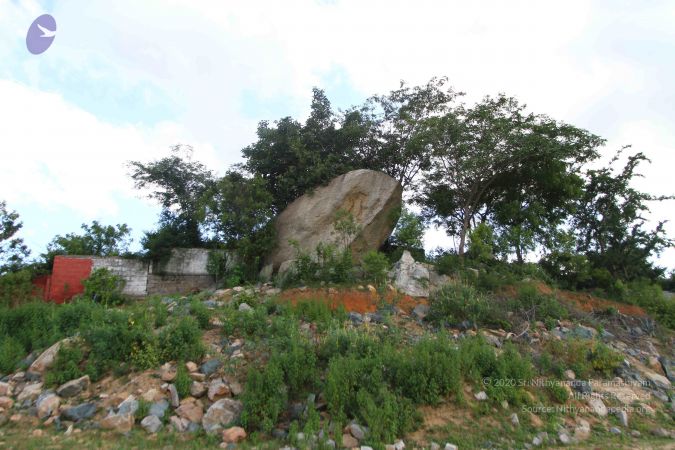 20160907 Photo 1003 1VgYoQqyEXtzfSSggkLuJQU4qdA9QOsQo.JPG