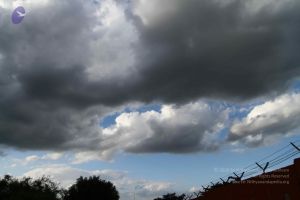 20160907 Photo 1024 1hAxKtAGUOdbB6IU7bm6EGuk4WiOvCLMP.JPG