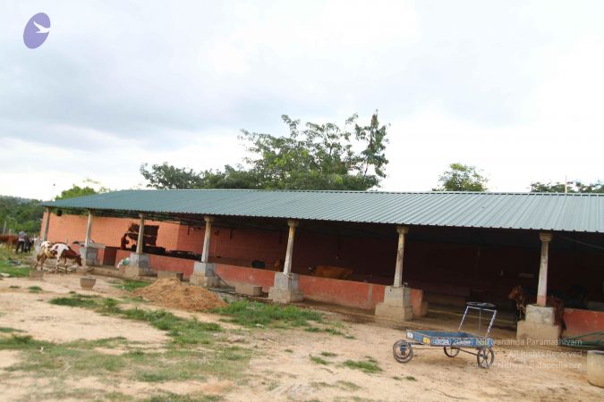 20160907 Photo 1028 1It4OVjumCDC JoCbMidbtXEf0JJwo9Mj.JPG