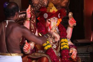 20160908 Photo 1115 1x4oli54n3TfAcMKDNLigIvBi1NONsDxa.JPG