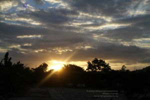 20160908 Photo 232 1vB5qcTIo8OZFvbsWrsjO4v5oxKva8L2g.jpg