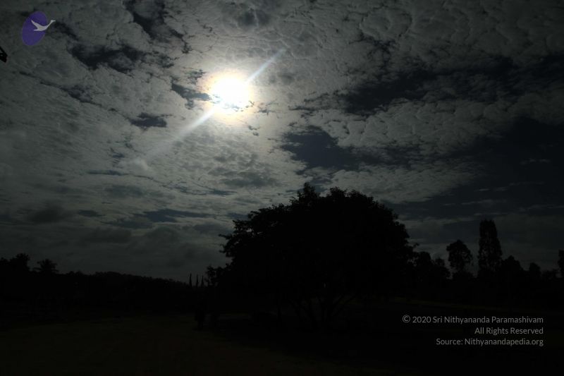 File:20160909 Photo 1000 1ZKwEIjQlF8uZTWZvQJHy24A9LBDi2jx4.JPG