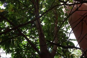 20160909 Photo 1000 1katQoumq-uDhCD UtJq5MCEoDiB7twj4.JPG