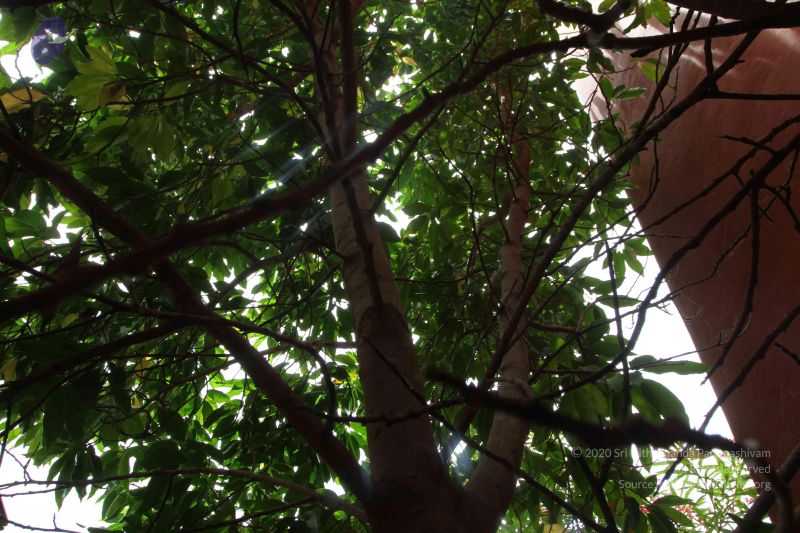 File:20160909 Photo 1000 1katQoumq-uDhCD UtJq5MCEoDiB7twj4.JPG