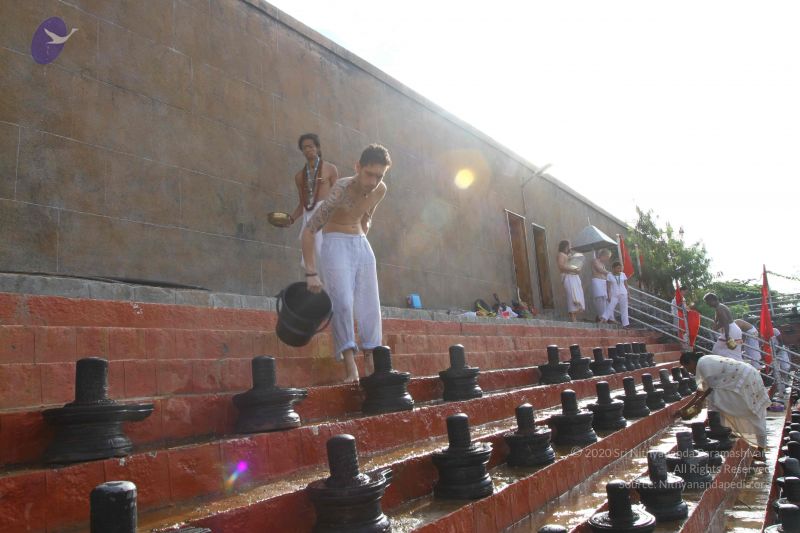 File:20160909 Photo 1012 1HpyZfzJH8Ak0mcHjyRyo3T31iZr1RcTb.JPG