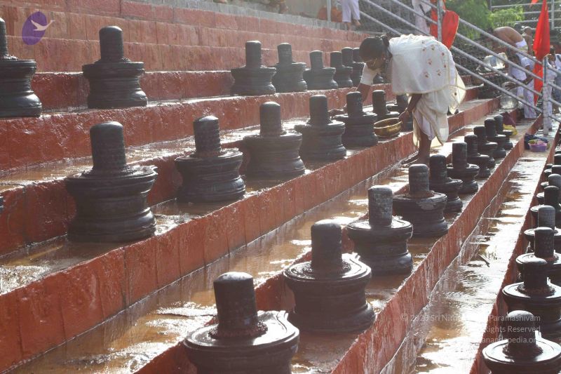 File:20160909 Photo 1013 1MH5KjIBvNEtHTZJ3jCkwqr2QGF4985ir.JPG