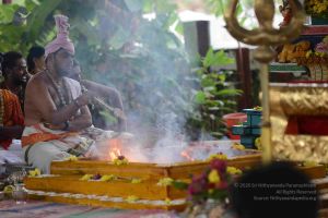 20160909 Photo 1016 13ipjScN8eV9t5U4 5c7XNej9053XIiJi.JPG