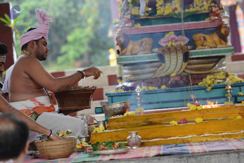 File:20160909 Photo 1019 1xTkBZwpNoxIj364jzT8bAzhPwKBdy06R.JPG