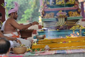 20160909 Photo 1020 1PRfcx-YXuGqhVgs1GJpmRotajYJ8R0zc.JPG