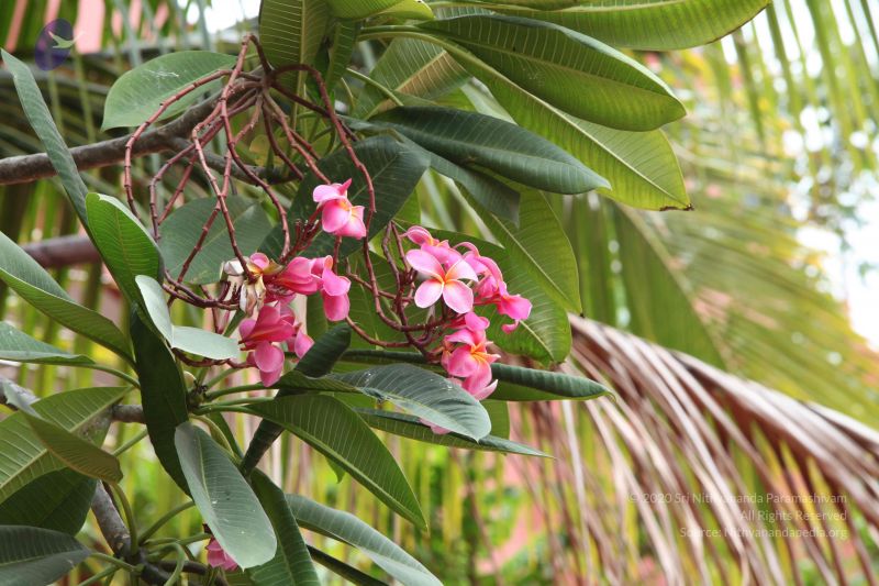 File:20160909 Photo 1023 1kgOgkkoEbfE9VG2tvTd5RiRBqEt6FIPe.JPG