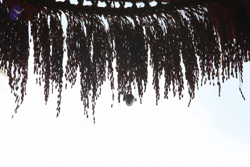 File:20160909 Photo 1024 1GQab9Me6fzAyNjSQ1wxPcZq-sXD3k5io.JPG