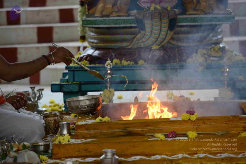 File:20160909 Photo 1025 1bEwLpLUhRMfDqQhAjv6v tXKRr8Q1ukg.JPG