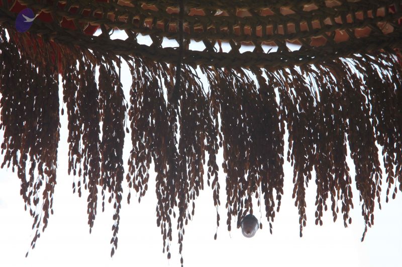 File:20160909 Photo 1025 1kXi-Ls uSmrPYdWldxX0bF8sEJXOBOW2.JPG