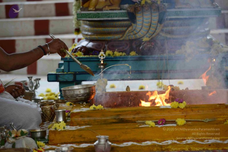 File:20160909 Photo 1026 19aVEvthw8oqQ-IJP yPdLEn9Xhjk8zIj.JPG