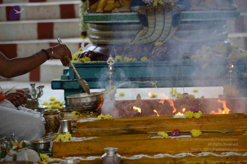 File:20160909 Photo 1027 1-57Lz46M0v0PwMyaG8LB5H1e1kysAOmk.JPG