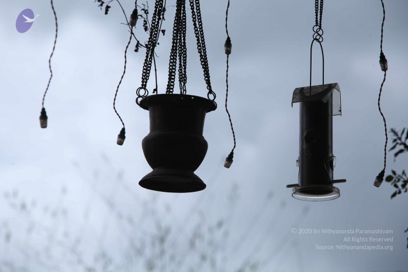 File:20160909 Photo 1028 1cLEPQgWw1xjbKFGLVWBqORhwD303PCfM.JPG