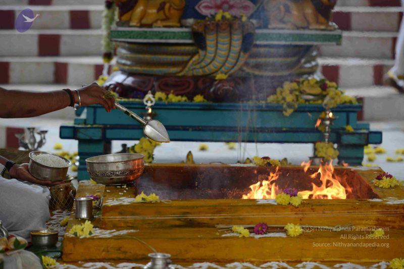 File:20160909 Photo 1029 1gX6 TeDmnJOi28F PqIx6920mtg XFFF.JPG