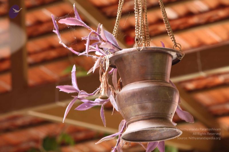 File:20160909 Photo 1029 1lQ6XXLspuVrbLHnEeFZbeHK 1nrU2STk.JPG