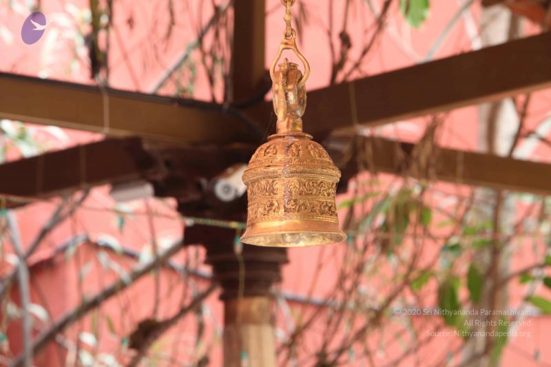 File:20160909 Photo 1030 1CqzVhMNINnRs8nQa6CeMYtrbbRVcxOrZ.JPG