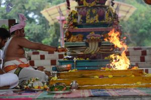 20160909 Photo 1033 1UPVLSBlEikO2JFM9Enh7VtWrPUuH62uA.JPG