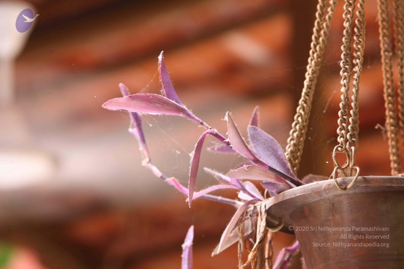 File:20160909 Photo 1035 1Lo5TiCzCWgWQjOhVo0IENJKjlB-6LDVR.JPG