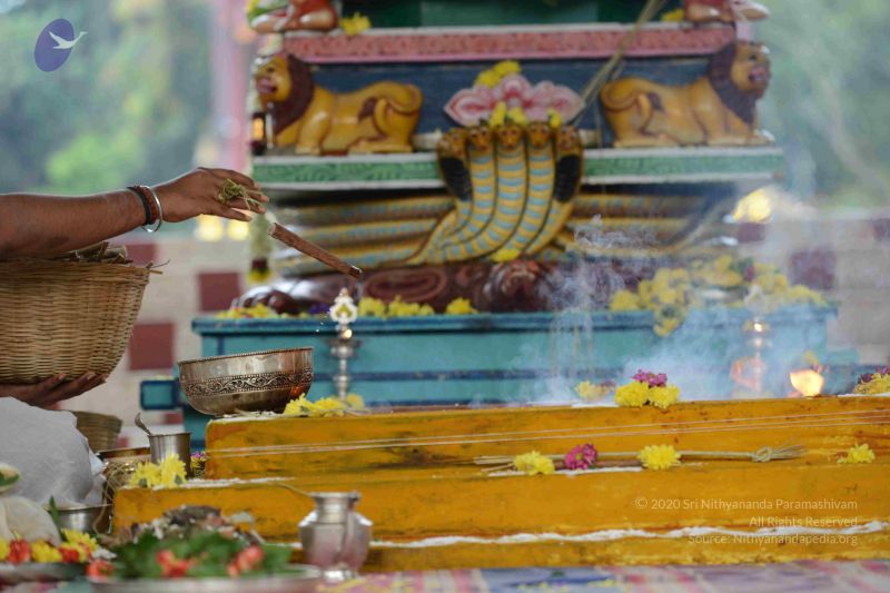 File:20160909 Photo 1036 1tUDp5aqZRsTo5qhenVai0vuiVI-eHadK.JPG