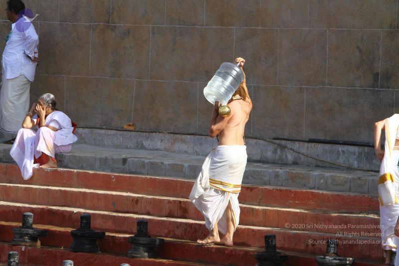 File:20160909 Photo 1038 1gr1dM c-9x 3hwhL2VKmTq1aB2VDJYvE.JPG