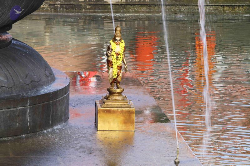 File:20160909 Photo 1040 1MK9MJ07MxyIgiiJCB4JQ N4J4Qloj9dd.JPG