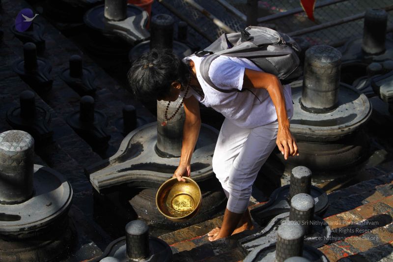 File:20160909 Photo 1044 1AMRCIhwUw6Kkfs7LPbj8aW3HNjGd2pjV.JPG