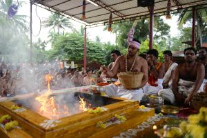 20160909 Photo 1065 1JSSkXCM-HqZqFl3l7tLeukIuJF3pRWmk.JPG